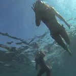 Vila Nidus Onei Omiš