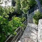 Nidus Onei Vila Omiš