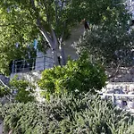 Nidus Onei Omiš