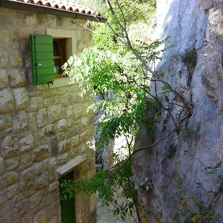 Nidus Onei Villa