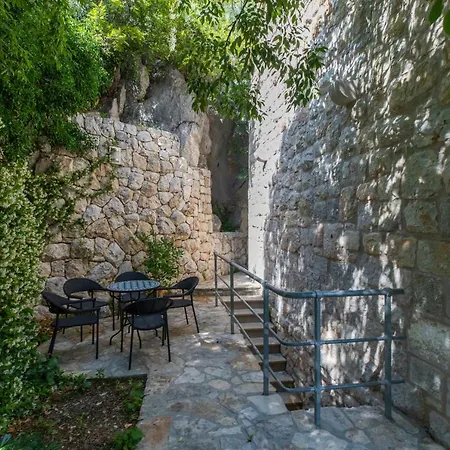 Nidus Onei Villa