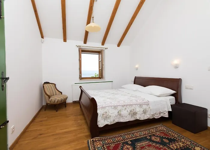 Nidus Onei Villa
