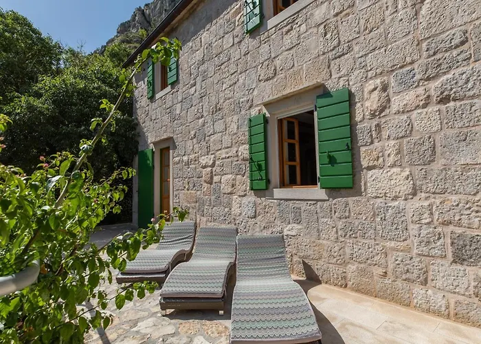 Nidus Onei Villa