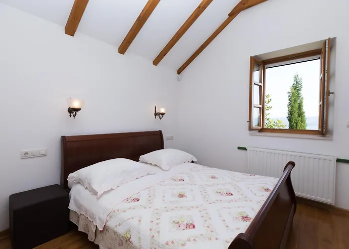 Nidus Onei Villa *