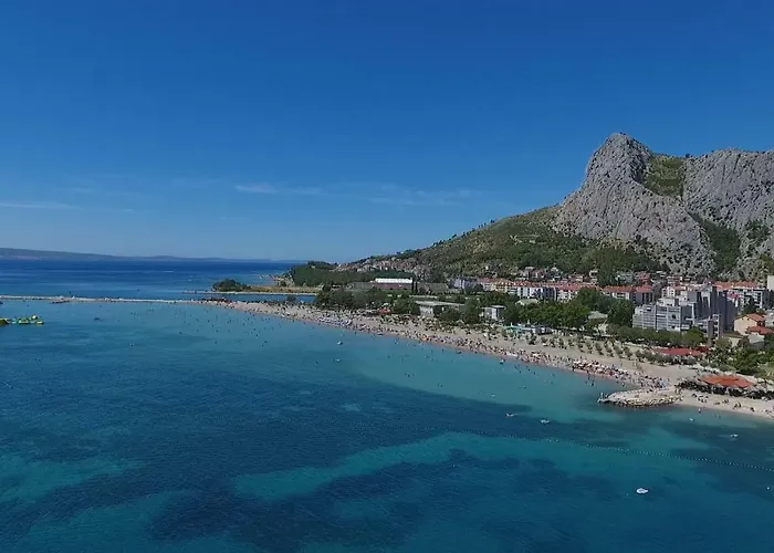 Nidus Onei Omiš