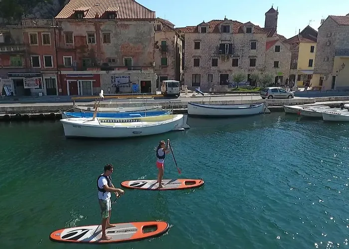 Nidus Onei Omiš
