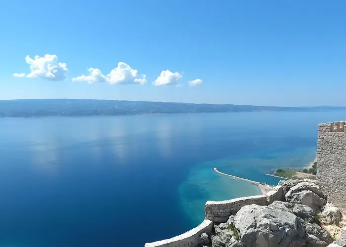 Nidus Onei Villa