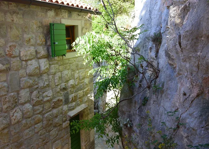 Nidus Onei Villa