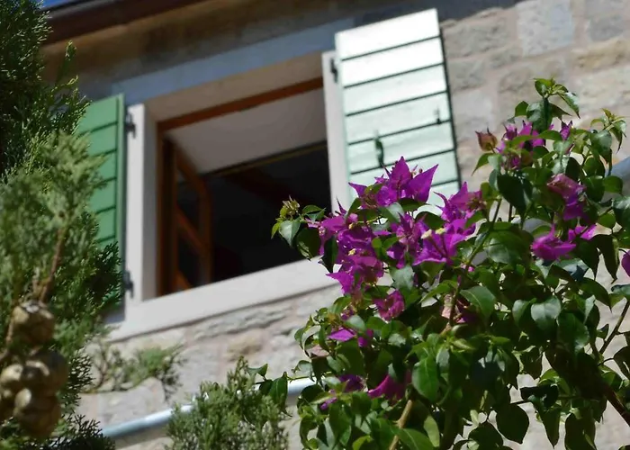 Nidus Onei Villa