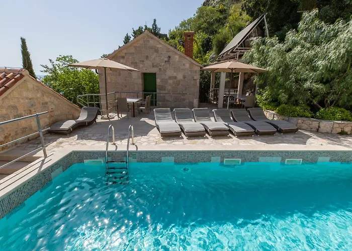 Nidus Onei Villa