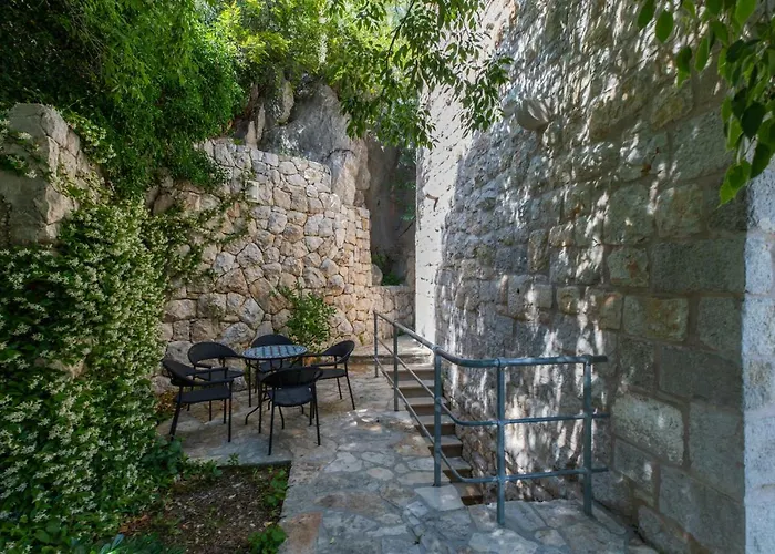 Nidus Onei Villa
