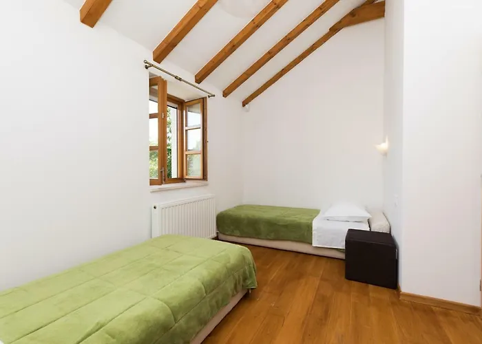 Nidus Onei Omiš