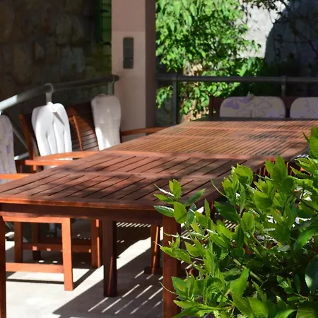 فيلة Nidus Onei *