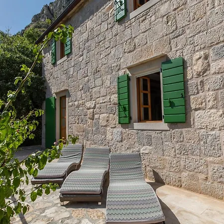 Nidus Onei Villa