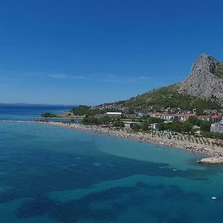 Nidus Onei Omiš