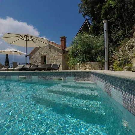 فيلة Nidus Onei *