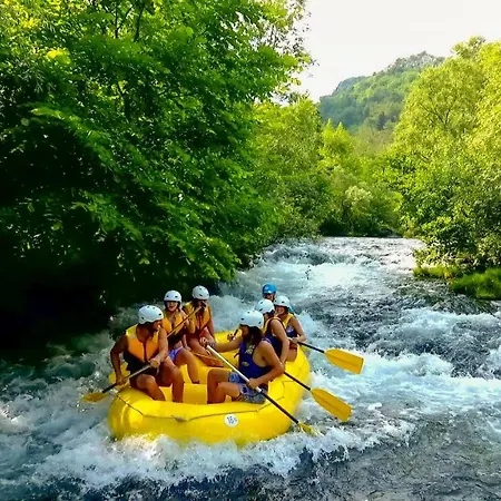 فيلة Nidus Onei *