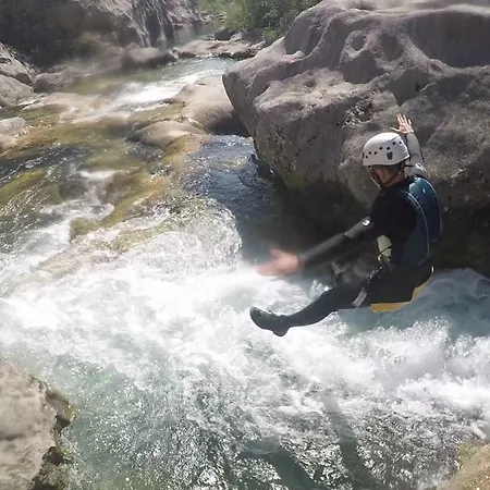 Nidus Onei فيلة *