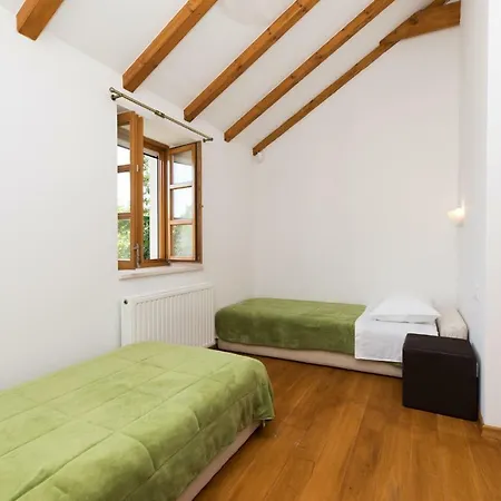 Nidus Onei Omiš